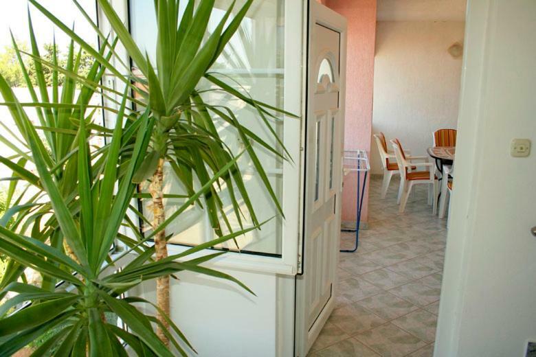 Apartments Mirjana - Stara Novalja Eksteriør bilde